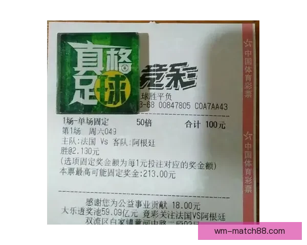 世界杯竞猜平台分析与投注技巧，助你精准预测比赛结果